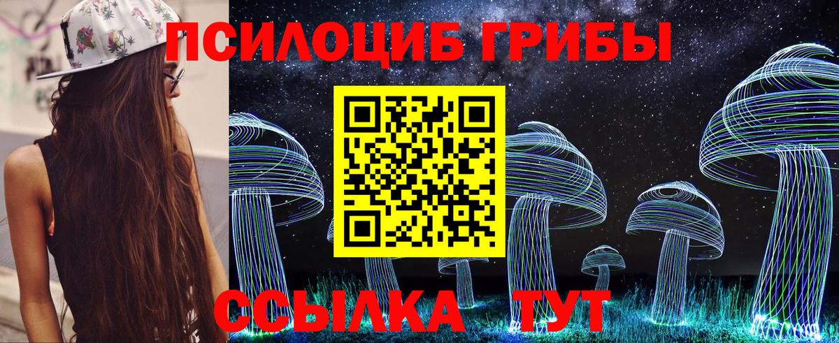 Кумертау  Псилоцибиновые грибы мицелий  Вход с VPN 