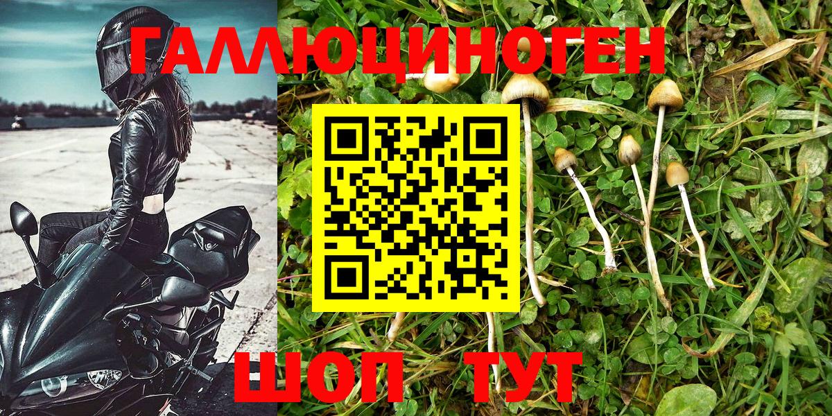 Псилоцибиновые грибы MAGIC MUSHROOMS Кумертау